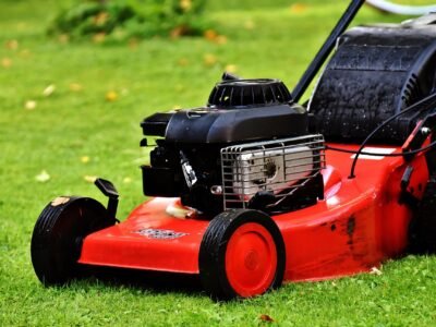 lawn (1)