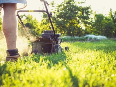 lawn (1)